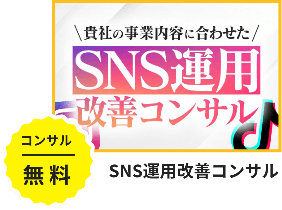 SNS運用改善コンサル